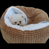 Novelty Round Plush Comfortable Warm Soft Fluffy Pet Cat Dog Bed